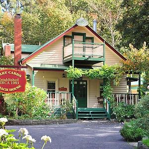 Mary Cards Coach House Bed and Breakfast Olinda Exterior photo
