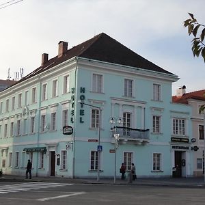 Hotel U Hroznu Mnichovo Hradiště Exterior photo