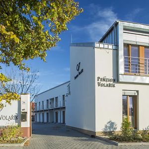 Hotel Penzion Volařík Dolní Dunajovice Exterior photo