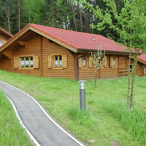 Blockhaus Bayerischer Wald Villa Stamsried Exterior photo