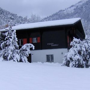 Apartamento Chalet Esher Surrey Ried-Brig Room photo