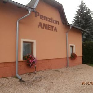 Hotel Penzion Aneta Svijany Exterior photo