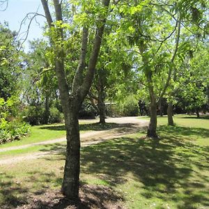 Hotel Summerhills Retreat Byron Bay Binna Burra Exterior photo