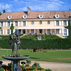 Hotel Chateau De Bonmont Cheserex Exterior photo