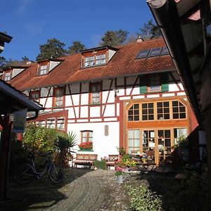 Gastehaus Pfefferle Hotel Garni Und Ferienwohnungen Sigmaringen Exterior photo