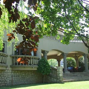 Villa Amanzi Boutique Guest House Johannesburgo Exterior photo