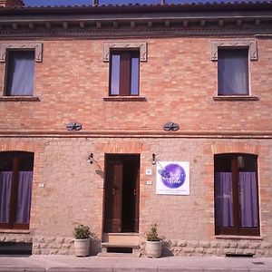 Le Viole B&B Mergo Exterior photo