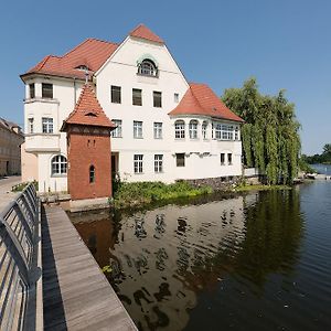 Apartamento Fewo Auf Der Dominsel-Lotus Brandenburg  Exterior photo