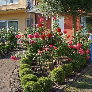 Apartamento Ferienhaus Schloss-Garten Kapellen-Drusweiler Exterior photo