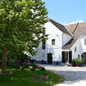 Hotel Edvy Malom Fogadó Barokk Udvarház Pápa Exterior photo