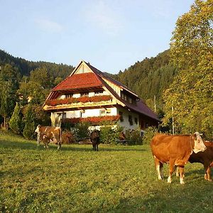 Apartamento Unterer Gurethshof Zell am Harmersbach Exterior photo