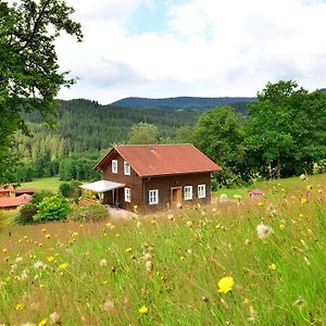 Comfort Apartment With Balcony In The Beautiful Bavarian Forest Drachselsried Exterior photo