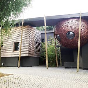 Hotel Un Nid Et Gite A Tournai Exterior photo