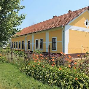 Hotel Peregi Vendégház Mezohegyes Exterior photo