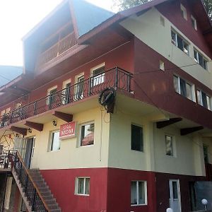 Hotel Vila Mdm Straja  Exterior photo