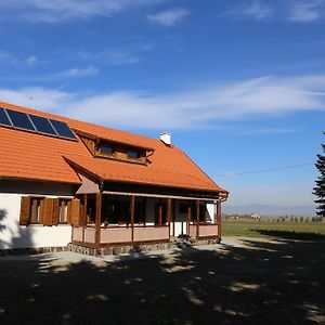 Hotel Ezüstfenyő Agroturisztikai Panzió Borzont Exterior photo