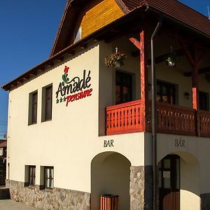 Amadé Pension&Restaurant Siculeni Exterior photo