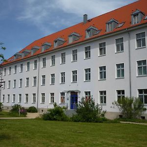 Hotel Hanse Haus Pension Greifswald Exterior photo