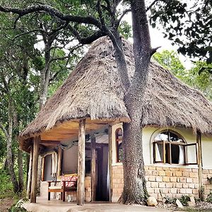 House In The Wild Hostal Maasai Mara Exterior photo