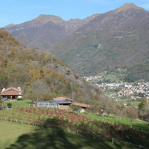 Agriturismo Il Mirtillo B,B Villa Pasturo Exterior photo