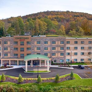 Hotel Courtyard By Marriott Oneonta Exterior photo
