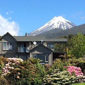 Apartamento Georges Bnb Nature And Lifestyle Retreat New Plymouth Exterior photo