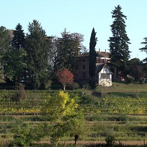 Casali Del Picchio - Winery Villa Cividale del Friuli Exterior photo