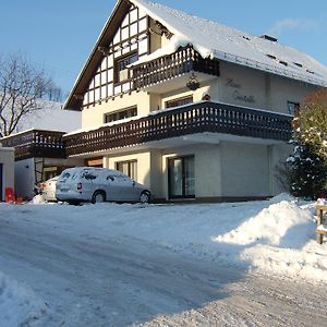 Apartamento Haus Cristallo Olsberg Exterior photo