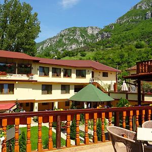 Hotel Pension Cuibul Viselor Băile Herculane Exterior photo