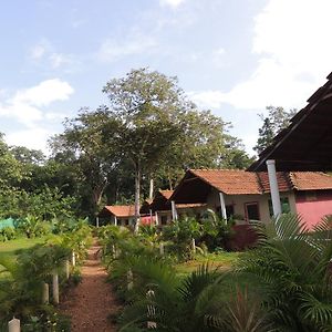 Apartamento Dandeli - Jungle Nest Sangave Exterior photo