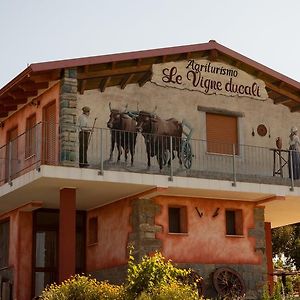 Agriturismo Le Vigne Ducali Villa Màndas Exterior photo