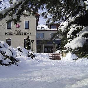 Hotel Konig Albert Hohe Rabenau Exterior photo