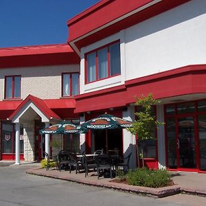 Hotel Auberge L'Ambassadeur Amqui Exterior photo