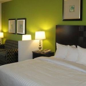 Best Western Douglas Inn&Suites Room photo
