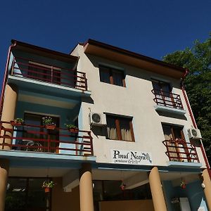 Hotel Pensiunea Pinul Negru Băile Herculane Exterior photo