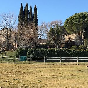 Podere Conte Racani Villa Amelia Exterior photo