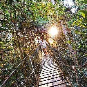 O'Reilly'S Rainforest Retreat Canungra Exterior photo