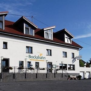 Hotel Und Landgasthof Zum Bockshahn Spessart  Exterior photo