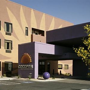 Cocopah Resort And Conference Center Somerton Exterior photo