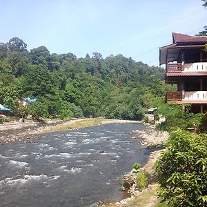 Fidodido Guesthouse Bukit Lawang Exterior photo