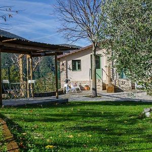 Le Voltarelle Bed & Breakfast Bed and Breakfast Serra San Quirico Exterior photo