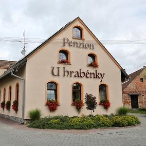 Hotel Penzion U Hrabenky Petrovice  Exterior photo