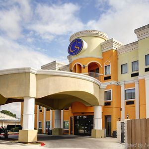 Comfort Suites Near Texas State University San Marcos Exterior photo