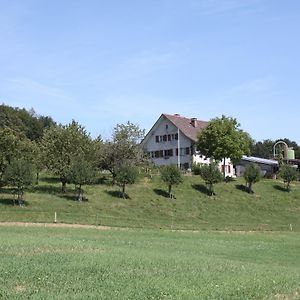 Bnb Im Waldhof Bed and Breakfast Schneisingen Exterior photo