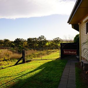 Muswellbrook Northside Bed & Breakfast Exterior photo