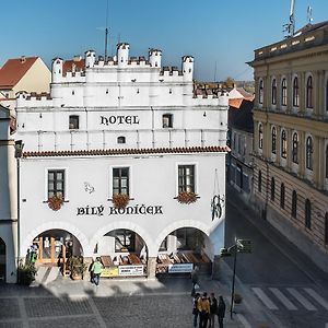 Hotel Bílý Koníček Třeboň Exterior photo