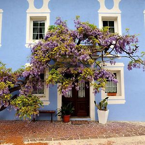 Hotel The Blue House Tolmin Exterior photo