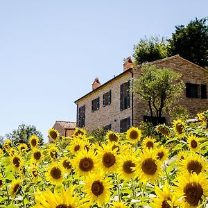 CasaVostra - Ambience Suites Ostra Vetere Exterior photo