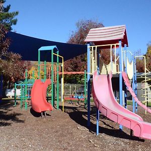 Hotel Discovery Parks - Mount Buffalo Porepunkah Exterior photo