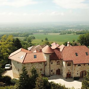 Les Lumieres De Geneve Bed and Breakfast Grilly Exterior photo